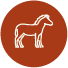 Equinos