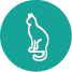 Gatos