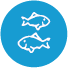 Peces
